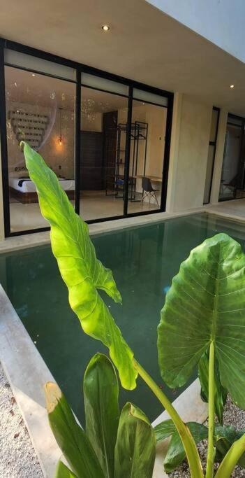 Apartment With Private Pool Tulum Chemuyil Exterior foto